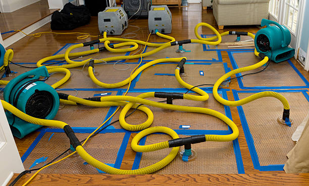 Professional Sewage Cleanup technician working in Tranquillity, CA